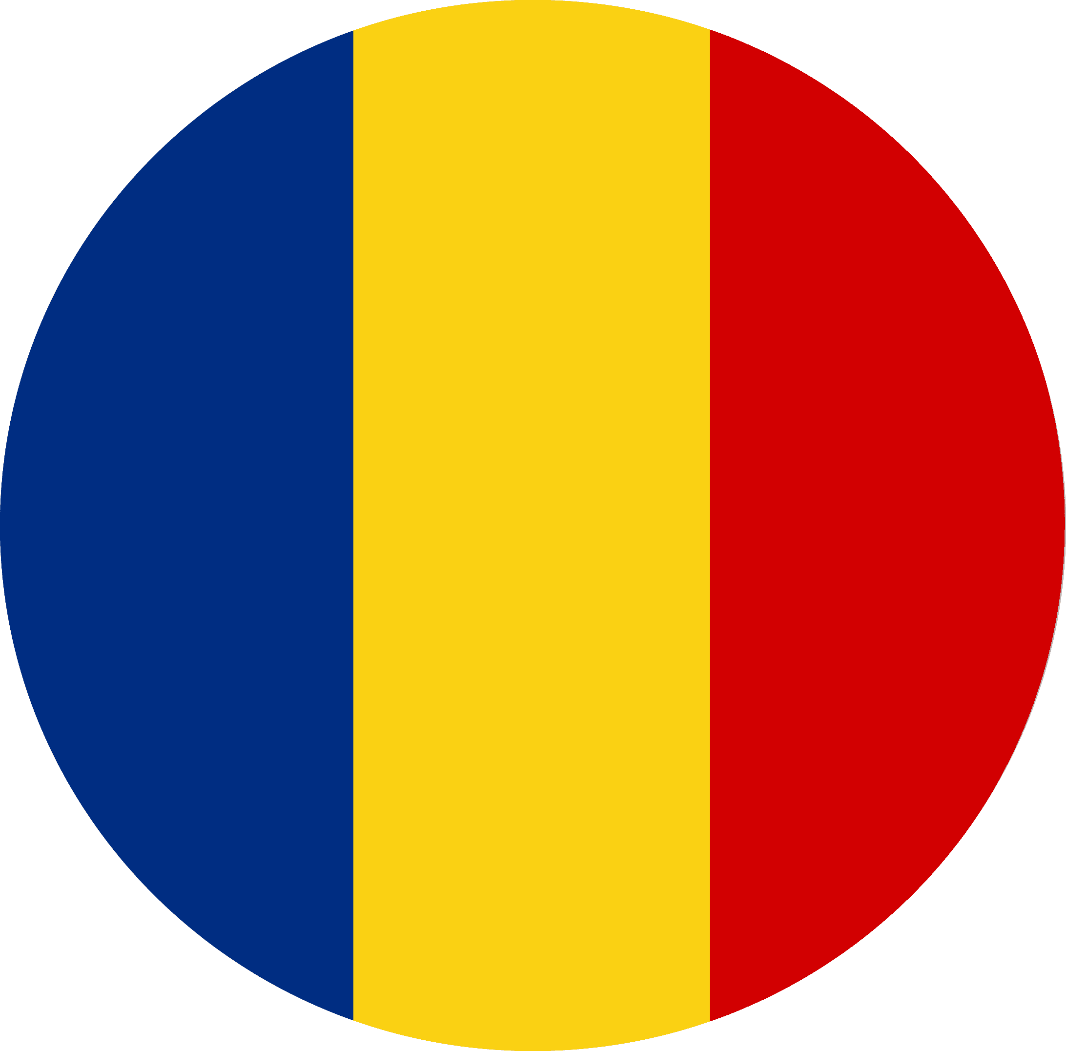 27204889_romania_flag_icon.png